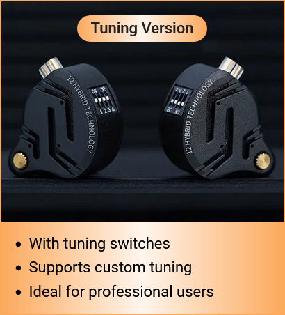KZ ZS12 PRO X 6 DRIVERS IEM IN EARS